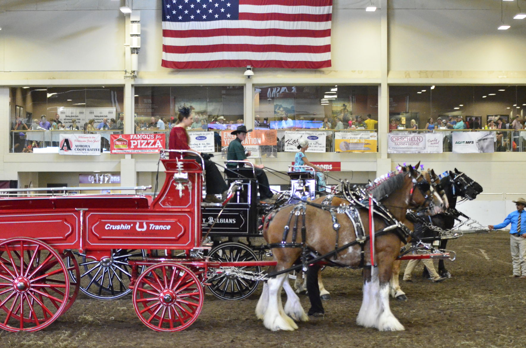 8-25-19 Draft Horse Hitch Final (67).JPG